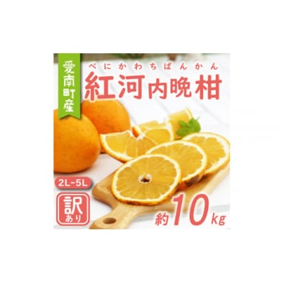 訳あり 紅 河内晩柑 大玉 ( 2L - 5L ) 10kg 7000円 農家直送 愛媛県 愛南町