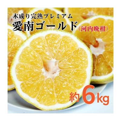 愛南ゴールド ( 河内晩柑 ) 6kg 愛南町 青果市場 発送: 7月下旬～ (なくなり次第終了)