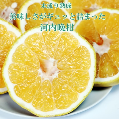 愛南ゴールド ( 河内晩柑 ) 6kg 愛南町 青果市場 発送: 7月下旬～ (なくなり次第終了)