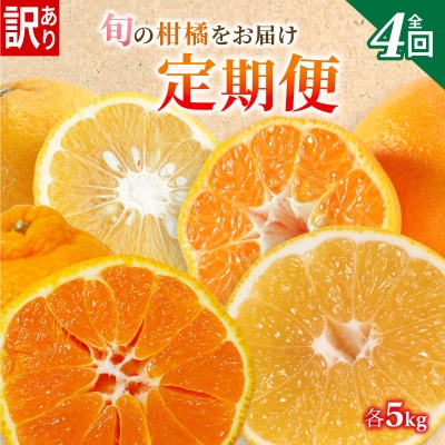 定期便4回 訳あり 季節の柑橘4種✕5kg ポンカン 不知火 甘夏 河内晩柑 愛媛県 愛南フルーツ