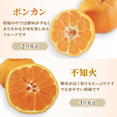 定期便4回 訳あり 季節の柑橘4種✕5kg ポンカン 不知火 甘夏 河内晩柑 愛媛県 愛南フルーツ