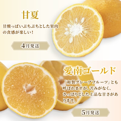定期便4回 訳あり 季節の柑橘4種✕5kg ポンカン 不知火 甘夏 河内晩柑 愛媛県 愛南フルーツ