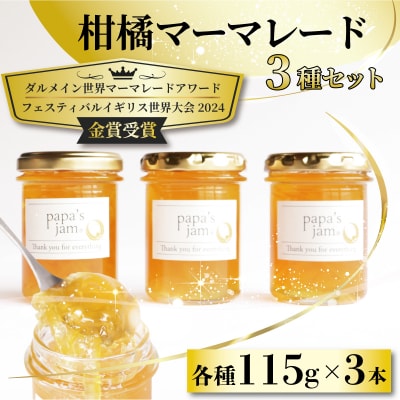 世界大会金賞 マーマレード 3種 夏橙 河内晩柑 甘夏 ジャム パン papa's jam