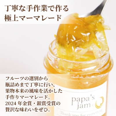 世界大会金賞 マーマレード 3種 夏橙 河内晩柑 甘夏 ジャム パン papa's jam