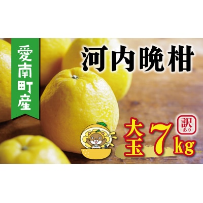 訳あり 河内晩柑 大玉 7kg 愛媛県 愛南町 塚岡農園