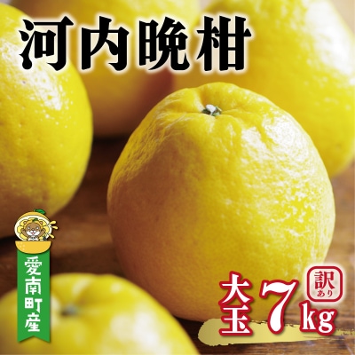 【先行予約】訳あり 河内晩柑 大玉 7kg +傷み保証1kg 8000円 愛媛県 愛南町 塚岡農園