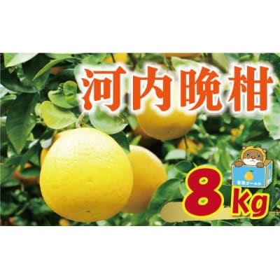 訳あり 河内晩柑 8kg 7000円 みかん 果物 柑橘 蜜柑 規格外 愛媛県 愛南町 塚岡農園