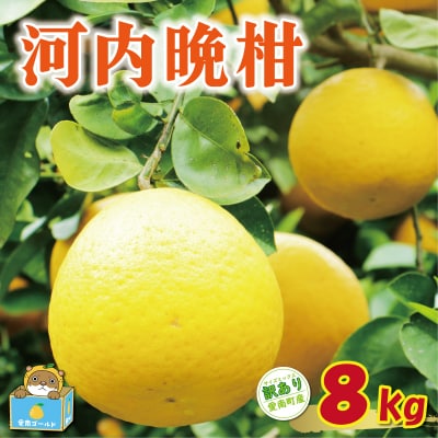 【先行予約】河内晩柑 8kg +傷み保証1kg 8000円 愛媛県 愛南町 塚岡農園