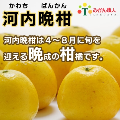 訳あり みかん職人武田屋 河内晩柑 大玉 10kg (なくなり次第終了)　みかん 果物 フルーツ 