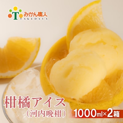 みかん職人が作った柑橘アイス 1000ml×2 (河内晩柑×2)