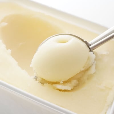 みかん職人が作った柑橘アイス 1000ml×2 (河内晩柑×2)