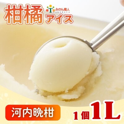 みかん職人が作った柑橘 アイス 河内晩柑 1000ml×1 シャーベット みかん職人武田屋