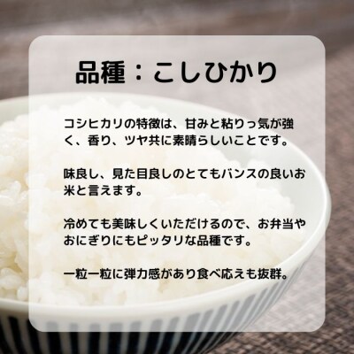 令和6年度 新米 合鴨米 3kg こしひかり おまけ もち米 2合 米  発送:8月下旬～ 豊田農園