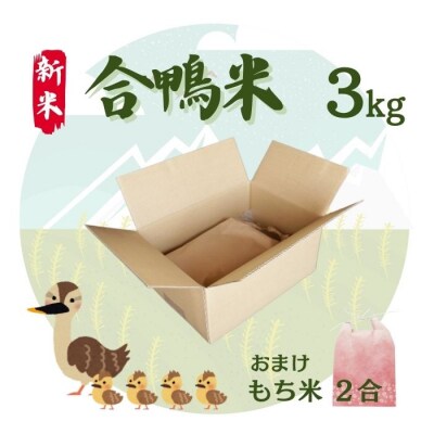 令和6年度 新米 合鴨米 3kg こしひかり おまけ もち米 2合 米  発送:8月下旬～ 豊田農園