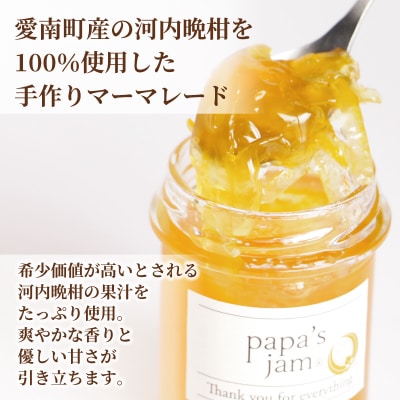 世界大会銀賞受賞 河内晩柑 マーマレード 3本セット みかん ジャム  パン papa's jam