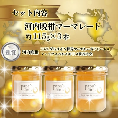 世界大会銀賞受賞 河内晩柑 マーマレード 3本セット みかん ジャム  パン papa's jam
