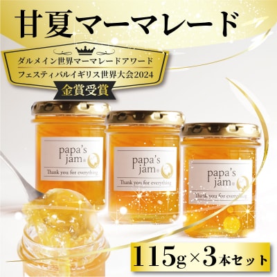 日本大会金賞受賞 甘夏 マーマレード 3本セット  みかん ジャム パン  papa's jam