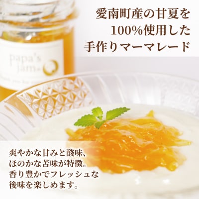日本大会金賞受賞 甘夏 マーマレード 3本セット  みかん ジャム パン  papa's jam