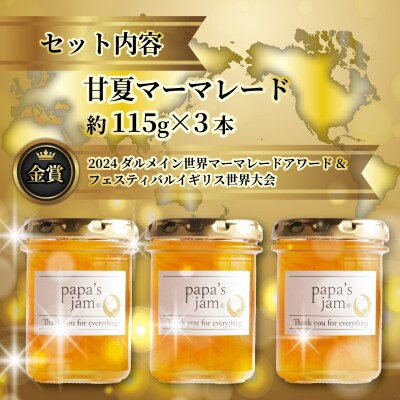 日本大会金賞受賞 甘夏 マーマレード 3本セット  みかん ジャム パン  papa's jam