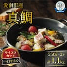 訳あり 真鯛コロコロ (550g×2パック) まだい 鯛 冷凍 ダイスカット 愛南サン・フィッシュ