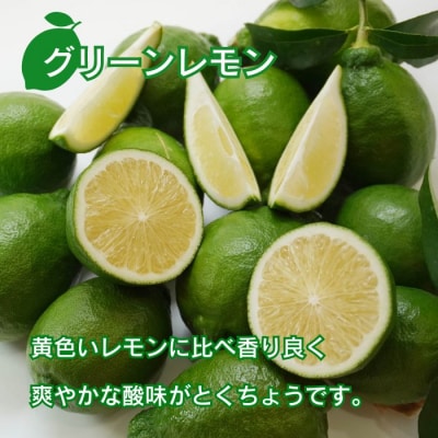 訳あり レモン ( グリーンレモン ) 1kg りのか 柑橘 フルーツ 愛南町 みかん職人武田屋 
