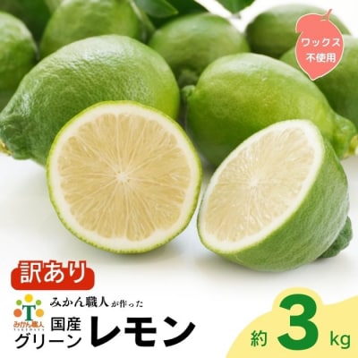 訳あり レモン ( グリーンレモン ) 3kg 柑橘 フルーツ 愛南町 みかん職人武田屋 