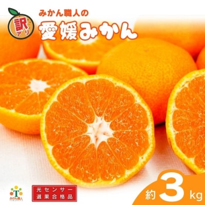 期間限定 訳あり 愛媛みかん 約3kg 蜜柑 ミカン みかん職人武田屋 愛南町