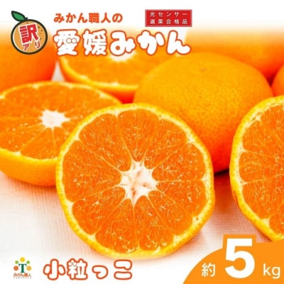 訳あり 愛媛みかん 小粒っ子 約5kg ミカン 蜜柑 みかん職人武田屋 愛南町