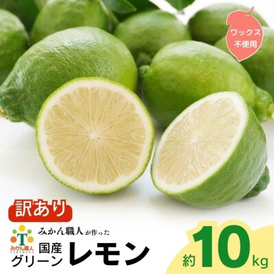 訳あり レモン ( グリーンレモン) 10kg りのか 柑橘 フルール 愛南町 みかん職人武田屋 