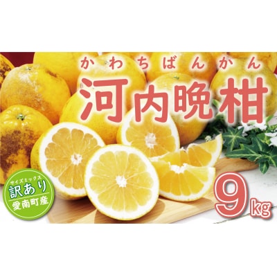 訳あり 河内晩柑 9kg みかん かわちばんかん 愛南ゴールド あいなん 規格外 愛南町 ミッチー