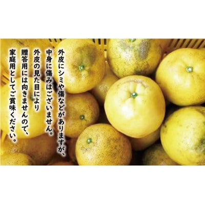 訳あり 河内晩柑 9kg みかん かわちばんかん 愛南ゴールド あいなん 規格外 愛南町 ミッチー