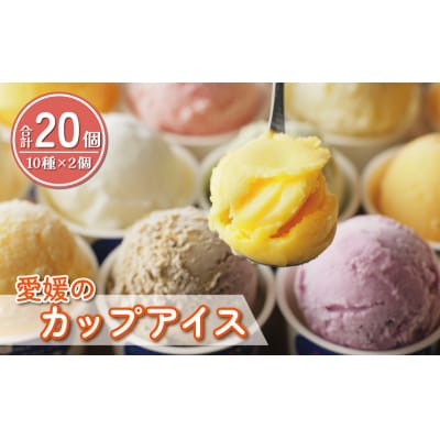 愛媛 の カップ アイス 20個 (10種×2個) 食べ比べ セット 愛南町 愛媛県 あいさと