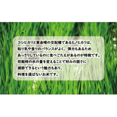 先行 新米 令和6年産 定期便 4回 試せる 4種 合計 20kg 愛南町 愛媛県 マルハラファーム