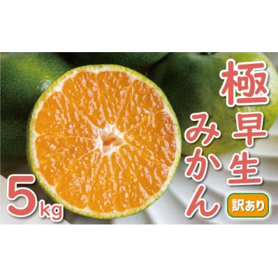 先行受付 訳あり 極早生 温州みかん 5kg 愛媛 みかん 愛南町 愛媛県 ミッチーのおみかん畑