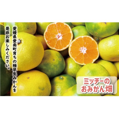 先行受付 訳あり 極早生 温州みかん 5kg 愛媛 みかん 愛南町 愛媛県 ミッチーのおみかん畑