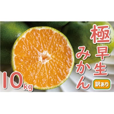先行受付 訳あり 極早生 温州みかん 10kg 愛媛 みかん 愛南町 愛媛県 ミッチーのおみかん畑