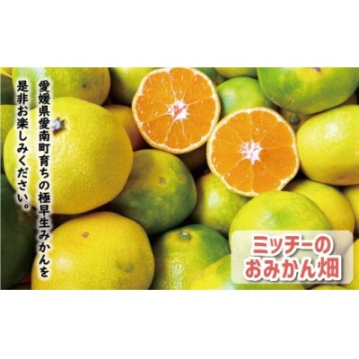 先行受付 訳あり 極早生 温州みかん 10kg 愛媛 みかん 愛南町 愛媛県 ミッチーのおみかん畑