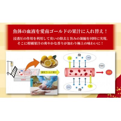 訳あり かつおのたたき 1kg と 愛南ゴールド 真鯛 200g お試し セット ハマスイ 愛南町