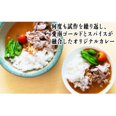 愛南ゴールドカレー 3食 カレー 河内晩柑 愛南ゴールド ごはん スパイス 香辛料 にんじん 