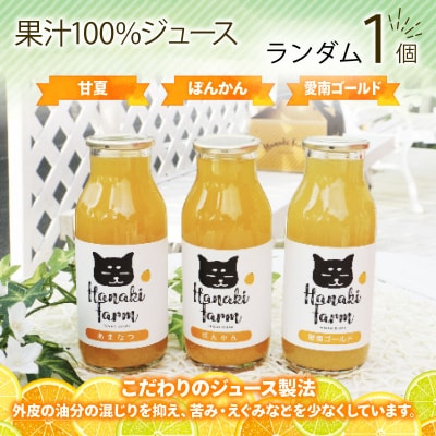 柑橘 お菓子セット6種 愛南ゴールド 焼き菓子 果実ジュース100% 果実ゼリー100%