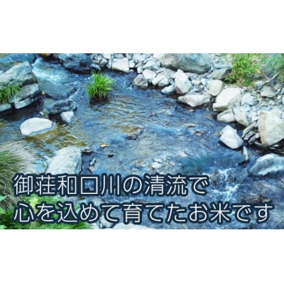 新米 令和8年産 にじのきらめき 5kg お米 白米 精米 米 こめ 国産 数量限定 愛南町 愛媛県