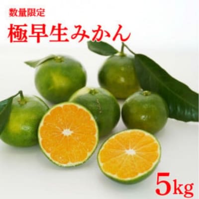 【家庭用】 石川さんの 愛媛みかん ( 極早生 ) 5kg【発送時期:9月下旬~なくなり次第】