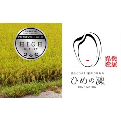 新米 令和6年産 定期便 10kg×4回 ひめの凜 合計 40kg お米 白米 精米 愛南町 愛媛県