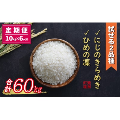 新米 令和6年産 定期便 10kg × 6回 にじのきらめき ひめの凜 合計 60kg  食べ比べ