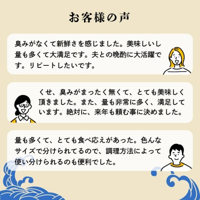 特選 かつおの塩たたき 3節セット タレ藻塩付き かつおのたたき 鰹タタキ ハマスイ 愛南町 愛媛県