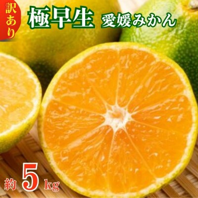 愛媛みかん 極早生 5kg 愛南町 青果市場 発送:24年10月初旬～10月末(なくなり次第終了)