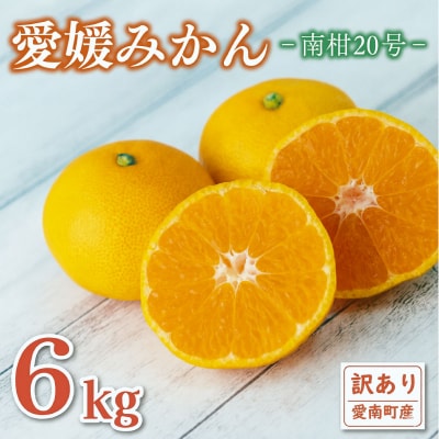 �󂠂� ���Q�݂��� �승20�� 6kg �G�j�V�g���X