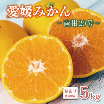 先行受付 訳あり 愛媛みかん 南柑20号 5kg エニシトラス