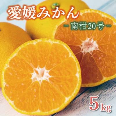 先行受付 愛媛みかん 南柑20号 5kg 温州みかん 愛媛県 愛南町 エニシトラス