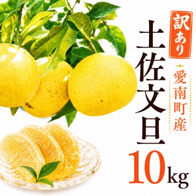先行受付 訳あり 土佐文旦 約10kg エニシトラス